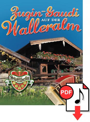 Zugin-Gaudi auf der Walleralm