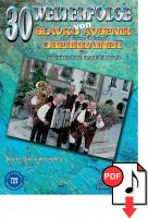 30 Welterfolge von Slavko Avsenik