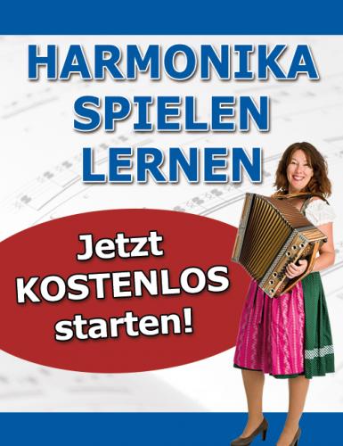 Online Anfängerkurs