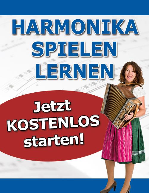 Online Anfängerkurs