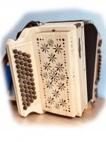 Michlbauer Animo IV Fichte/braun G