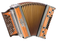 Strasser Premium-plus Indischer Apfel/braun B