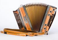 Strasser Premium-plus Indischer Apfel/braun B