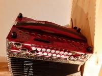 Novak Prestige Rot/schwarz B